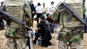 Syrische Kröten und Kraken