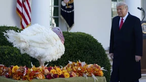 Trump begnadigt Truthahn