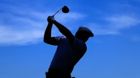 Ein Kraftpaket findet seine Meister