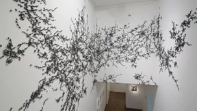 Ein Himmelreich aus Nadeln