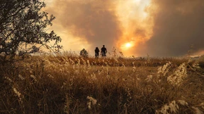 Tausende Menschen wegen Waldbrands in Sicherheit gebracht