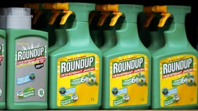 WHO stuft Glyphosat als potentiell krebserregend ein