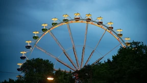 Der Wald ist gewachsen