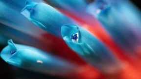 Auf der Suche nach den grünen Rettern