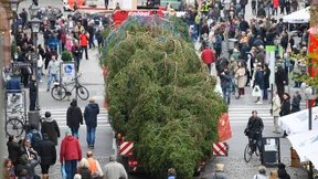 Dieses Mal ist die Spitze noch dran