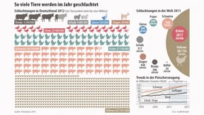 Trog, Teller und Sonntagsbraten
