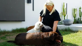 Verstoßen Influencer gegen Tierschutz?