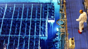 Auf der Suche nach verlorenen Milliarden