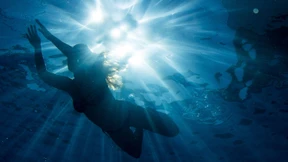 „Das Schwimmbad ist mit dem Zoo vergleichbar“