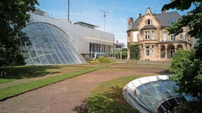 Artenreiche Blühwiese statt Rasen