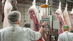 Koalition streitet über Zukunft der Grillwurst