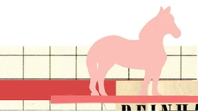 Raus auf die Weide und endlich in eine Herde