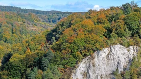 Gefährdete Traumwelt der Tiefenzeit