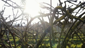 Weltklasse-Tropfen aus der Schweiz