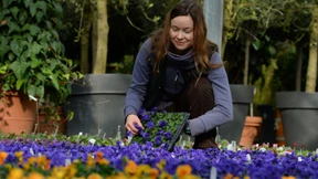 Wie wir die Roboter schlagen können