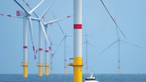 Versicherungsmanager als Anwälte der Nachhaltigkeit