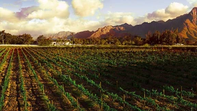 Etwas Gutes tun – und Wein verkaufen