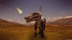 Welche Tiere haben die Dinosaurier überlebt?