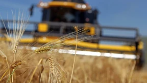 Anleger können gute Ernte einfahren