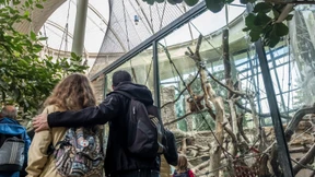 Ein Regenwald für den Zoo