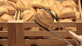 Gekommen, um zu bleiben