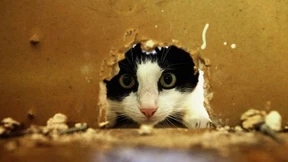 Was tun ohne Masterstudienplatz?