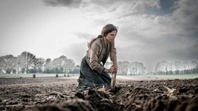 „Schwarzes Gold“