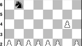 Die Schachaufgabe von Stefan Löffler