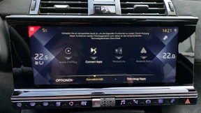 Gelb-Westen: Sie haben Ihr Ziel erreicht