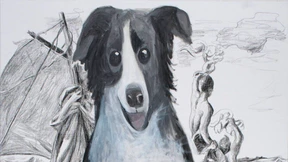 Die Splitter einer Stadt