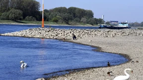 Unüblich wenig Wasser im Rhein