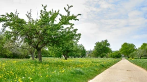 Vielleicht ein Fall für Juristen