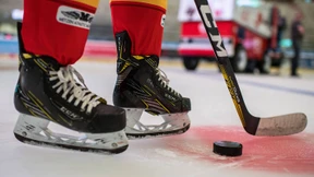 Nur Brotkrumen für die Pinguine