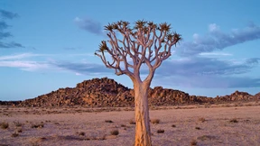 Warum Herero und Nama unzufrieden sind