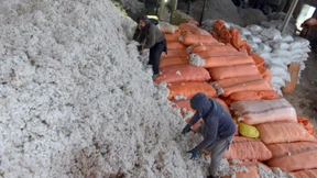 Wirtschaft fordert Nachbesserungen am EU-Lieferkettengesetz