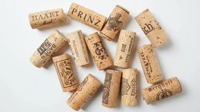 Was der Jahrhundertjahrgang wirklich taugt