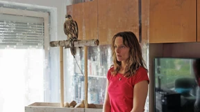 Das Lied von Liebe und Freiheit