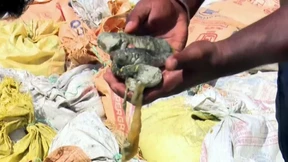 Behörden beschlagnahmen zwei Tonnen Seegurken