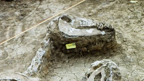 Die Mischung macht es