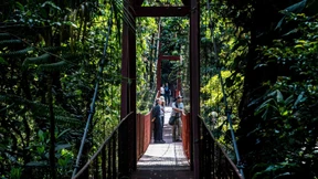 Klimawandel sorgt für Artensterben in Costa Rica