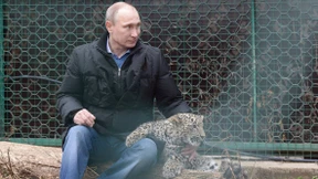 Der Leopardenflüsterer