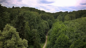 Sechs Anklagen nach Gruppenvergewaltigung in Velbert