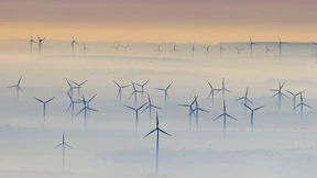 „Das bringt den Kohleausstieg auf leisen Pfoten“