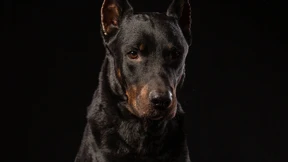 Die Modernisierung unserer Väter