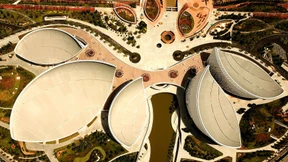 Orchideen gehen gut, Lotusblüten noch besser