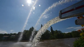 Nach dem Hochwasser droht eine Mückeplage