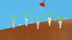 Wie Anleger ihre Steuerfreiheit klug nutzen