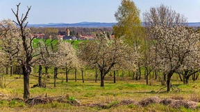 Bei den Edlen Wilden vom Lande