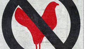 Die nächste Vogelgrippe kommt bestimmt