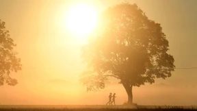 Wie regelmäßiges Laufen Ihre Lebensqualität steigert